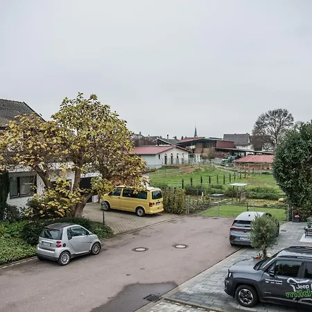 Erlebe Black Oder Forest * Offenburg