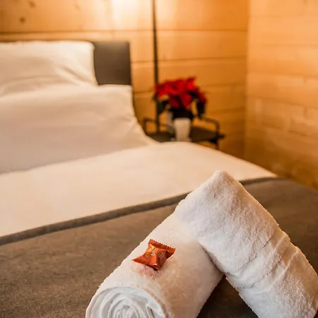 Erlebe Black Oder Forest