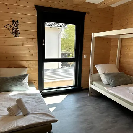 Erlebe Black Oder Forest