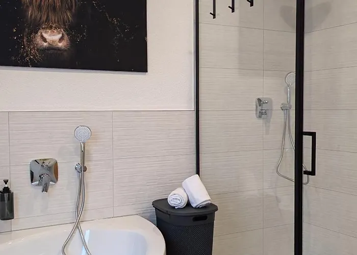 Daire Erlebe Black Oder Forest