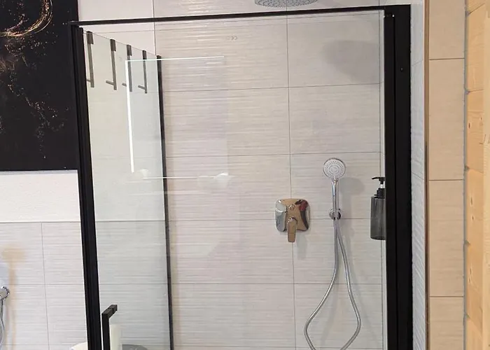 Daire Erlebe Black Oder Forest Offenburg