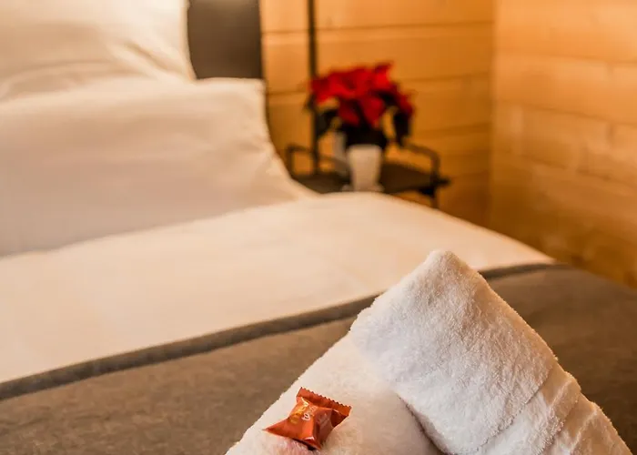 Erlebe Black Oder Forest