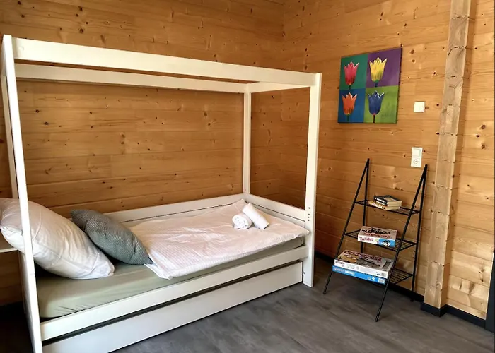 Erlebe Black Oder Forest