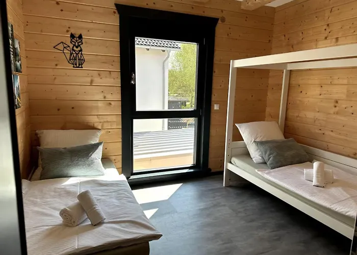 Erlebe Black Oder Forest